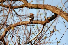 foto_natura2